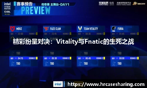 精彩纷呈对决：Vitality与Fnatic的生死之战